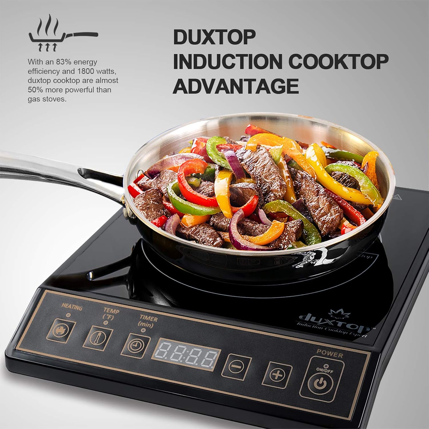 1800W 휴대용 인덕션 쿡탑 조리대 버너, 골드 91 - Induction Cooktop Portable 리뷰 및 가격