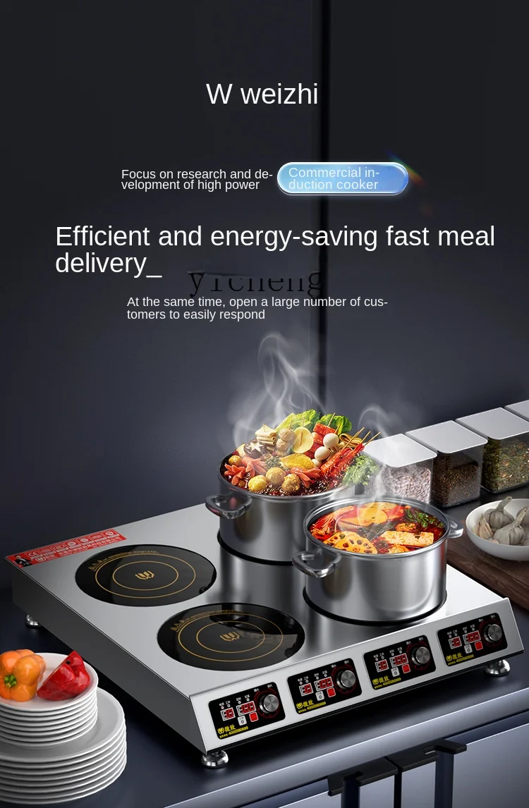 상업용 인덕션 쿡탑, 다중 화구, 3500W 고출력,  - Induction Cooker 리뷰 및 가격